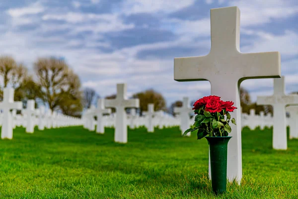 Hollanda Margraten Amerikan Mezarlığı'nda kırmızı güller ile bir vazo ile çapraz