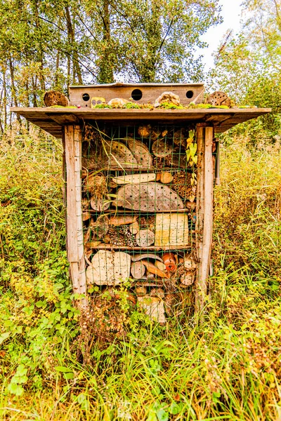 Insect hotel with small pieces of wood in the forest in the Netherlands