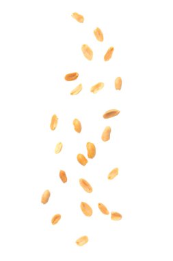 Kavrulmuş fıstık izole üzerinde beyaz arka plan düşüyor.