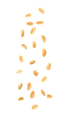 Kavrulmuş fıstık izole üzerinde beyaz arka plan düşüyor.