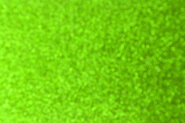 Noel için soyut yeşil bokeh arka plan, Kutlama kavramı.