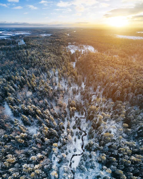 Aerial view of snow covered forest and small river during sunset.