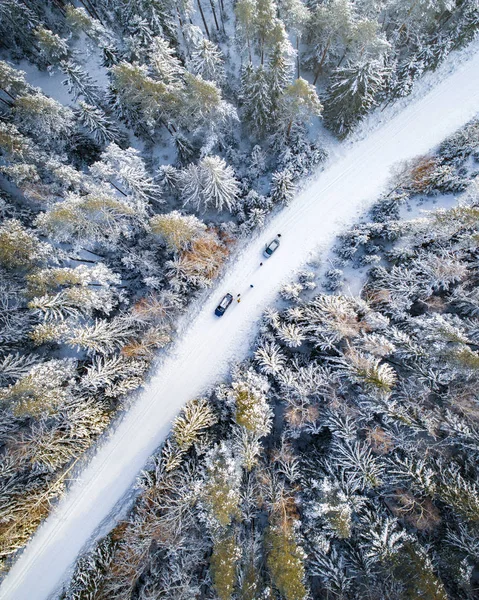 Karla kaplı orman ve yolun arabalarla havadan görünümü.