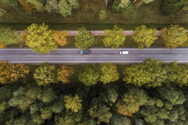 Letonya 'nın Jelgava bölgesinde sonbaharda yol kesen sık ormanın havadan görüntüsü
