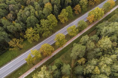Letonya 'nın Jelgava bölgesinde sonbaharda yol kesen sık ormanın havadan görüntüsü