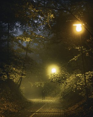 Geceleyin güzel bir park