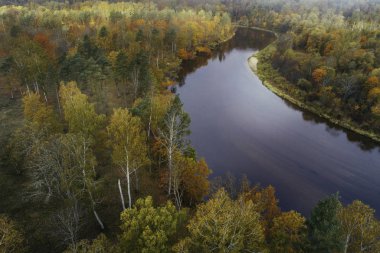 Gauja Ulusal Parkı, Letonya 'da renkli sonbahar mevsiminde sık ormanların havadan görünüşü.