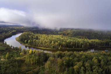 Gauja Ulusal Parkı, Letonya 'da renkli sonbahar mevsiminde sık ormanların havadan görünüşü.