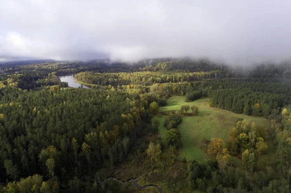 Luchtfoto Van Dik Bos Kleurrijk Herfstseizoen Gauja National Park Latvia — Stockfoto