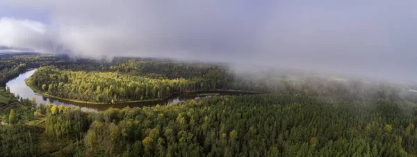 Vue Aérienne Forêt Épaisse Dans Saison Automne Colorée Dans Parc — Photo