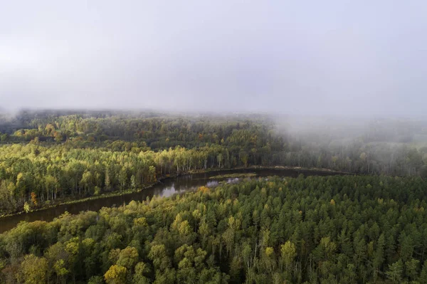 Luchtfoto Van Dik Bos Kleurrijk Herfstseizoen Gauja National Park Latvia — Stockfoto