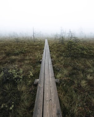 güzel doğa manzarası, seyahat konsepti  