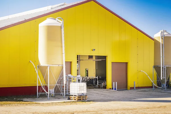 Ferme Laitière Moderne Haute Production Utilisée Pour Nourrir Traire Les — Photo