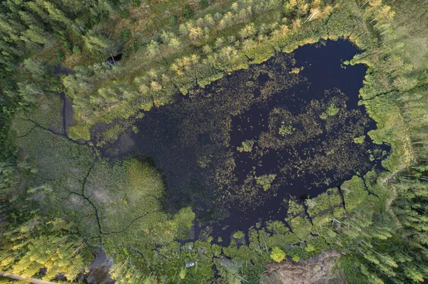 Vue Sur Endroit Sauvage Avec Des Forêts Une Rivière Pendant — Photo