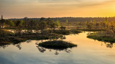 Sonbahar mevsiminde ormanları ve nehri olan vahşi bir yer.