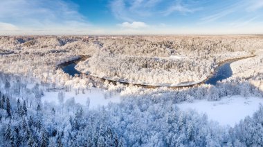 Kış mevsiminde ormanın hava manzarası