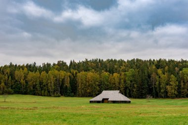 Sonbahar mevsiminde ormanları ve nehri olan vahşi bir yer.