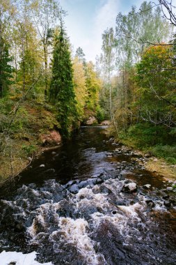 Sonbahar mevsiminde ormanları ve nehri olan vahşi bir yer.
