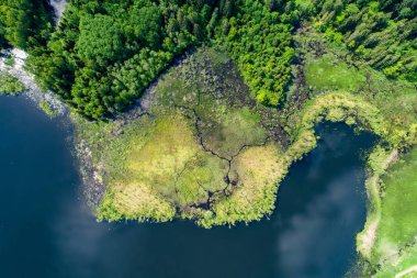 Gündüz vakti ormanları ve nehirleri olan vahşi bir yer.