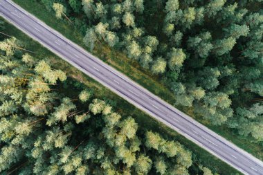 Gündüz vakti ormanları ve nehirleri olan vahşi bir yer.