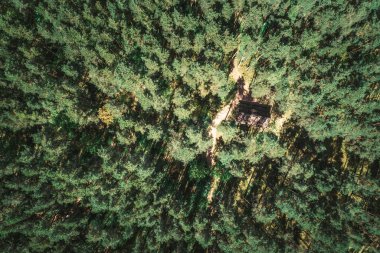 Gündüz vakti ormanları ve nehirleri olan vahşi bir yer.