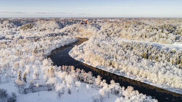 Luchtfoto Van Het Bos Tijdens Het Winterseizoen — Stockfoto