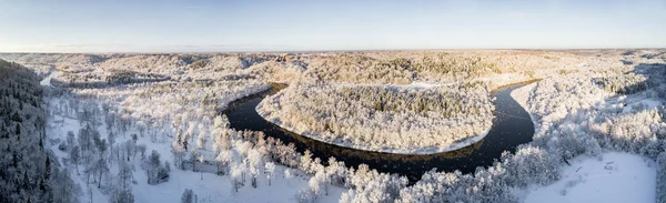 Luchtfoto Van Het Bos Tijdens Het Winterseizoen — Stockfoto