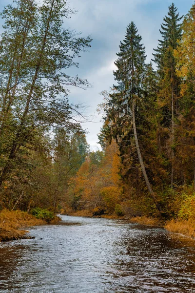 가을이 지역을 바라봄 — 스톡 사진