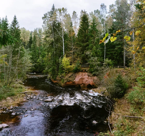 Vue Sur Endroit Sauvage Avec Des Forêts Une Rivière Automne — Photo