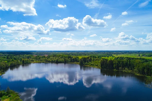 Uitzicht Wilde Plek Met Bossen Rivier Overdag — Stockfoto