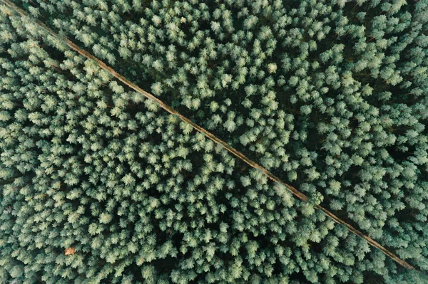 Vista Lugar Selvagem Com Florestas Rio Durante Dia — Fotografia de Stock