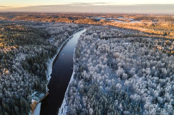 Natuurlijk Landschap Met Bomen Rivier Het Winterseizoen — Stockfoto