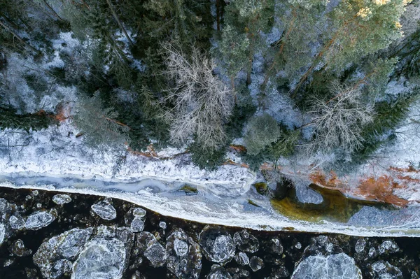 Природный Ландшафт Деревьями Рекой Зимний Сезон — стоковое фото
