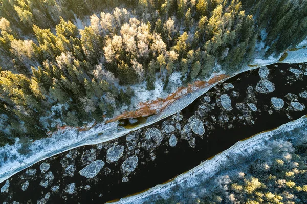 Paysage Naturel Avec Arbres Rivière Saison Hivernale — Photo