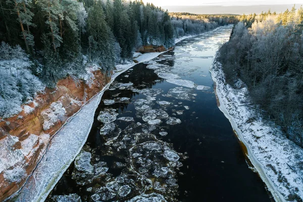 Natuurlijk Landschap Met Bomen Rivier Het Winterseizoen — Stockfoto