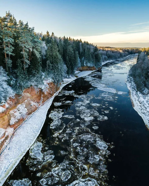 Natuurlijk Landschap Met Bomen Rivier Het Winterseizoen — Stockfoto