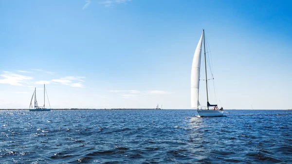 View Sail Regatta Daytime Competition Concept — Stock Photo, Image