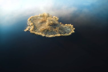 Gündüz vakti nehir manzarası, doğa güzelliği kavramı.