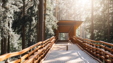 Parkın güzel manzarası