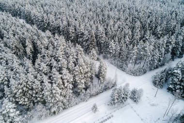 Kış mevsiminde ormanın hava manzarası