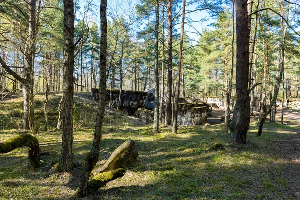 Schöne Naturlandschaft Reisekonzept — Stockfoto