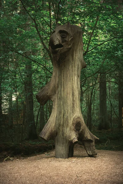 Holzfiguren Tiefen Wald Tag — Stockfoto