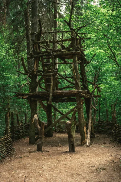 Holzbau Wald Tag — Stockfoto