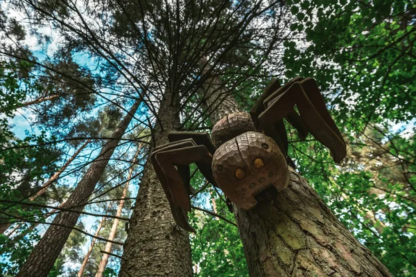 Figuras Madera Bosque Profundo Durante Día —  Fotos de Stock