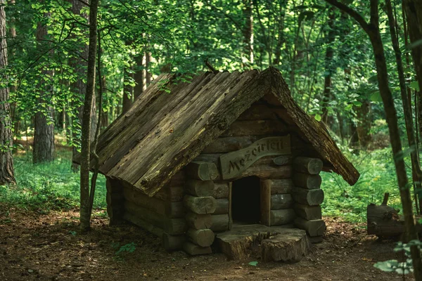 Edificio Legno Nella Foresta Durante Giorno — Foto Stock