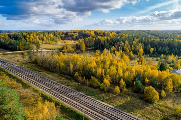 Schilderachtig Uitzicht Bos Het Najaar Natuurschoonheidsconcept — Stockfoto