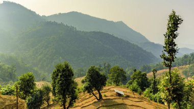 Sonbahar mevsiminde dağın manzarası, doğa güzelliği kavramı.  
