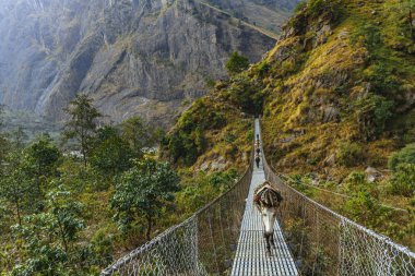 Çalışan hayvanları gündüz vakti dağlarda görmek