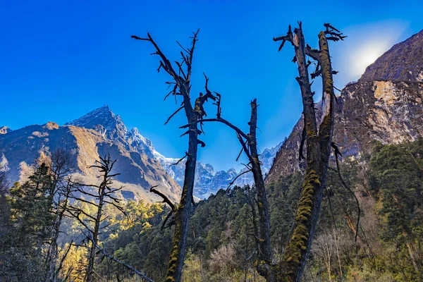 秋天的山景 自然美景的概念 — 图库照片