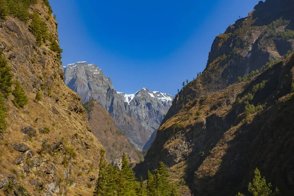 Vista Panorámica Las Montañas Temporada Otoño Concepto Belleza Naturaleza — Foto de Stock